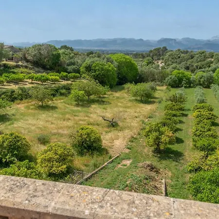 Rei -costitx- Σαλέ Costitx (Mallorca)